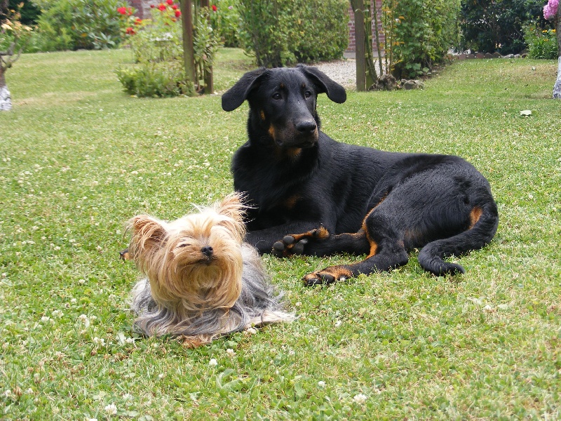 les bébés Février 2009
